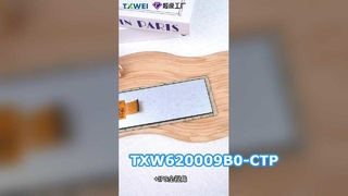 TXW620009B0-CTP